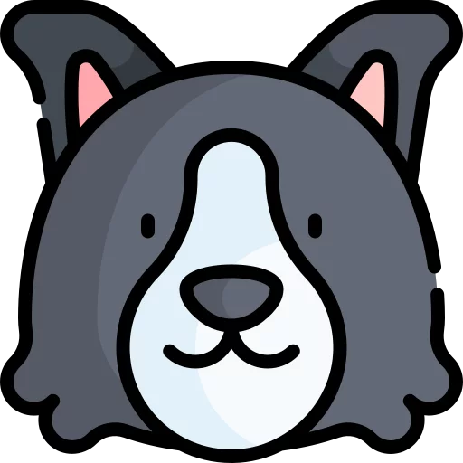 013-border-collie.png